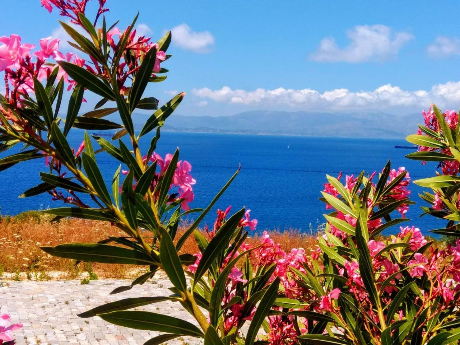 Mavi Panorama Villa Çeşme Exterior photo